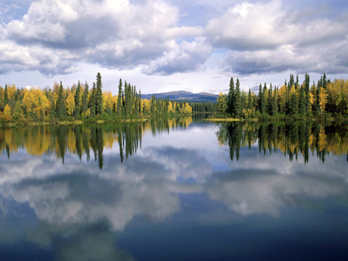 Beautiful Canadian Nature