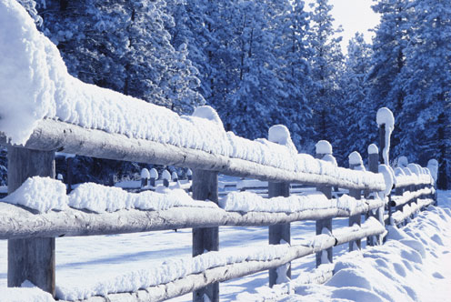 Imagini si poze de Craciun: Peisaje si imagini de iarna