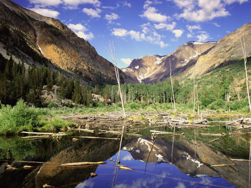 Beaver Pond, Lundy Canyon, Sierra Nevada Range