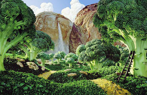 Broccoli Land