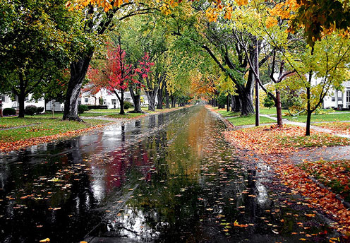 Wet Road after Rain