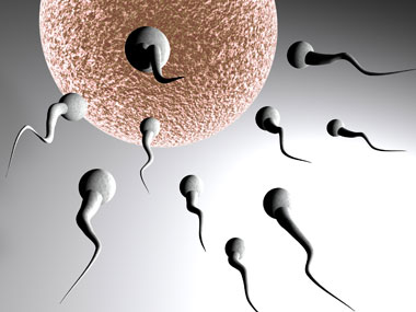 Sperm