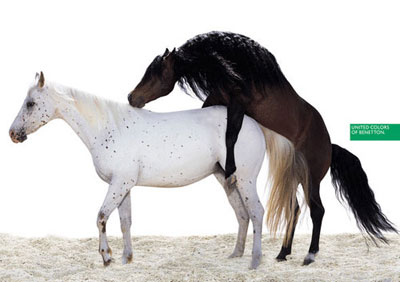 United Colours of Benetton Horses Ads