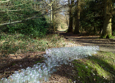 Jars with natural air in the forest