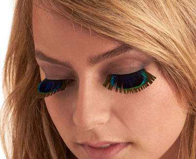 Peacock Eyelashes