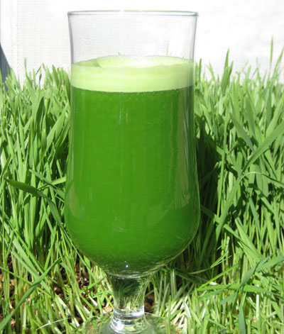 Fresh wheat grass juice