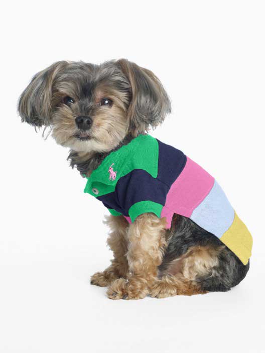 ralph-lauren-pet-dog-fashion9