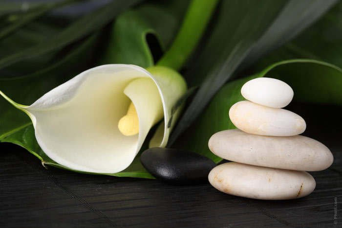 700-beauty-procedure-cosmetics-stone-massage-stones-flower