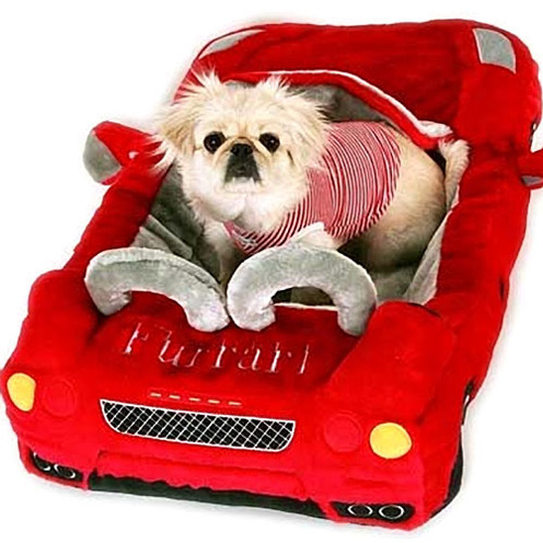 Dog Car