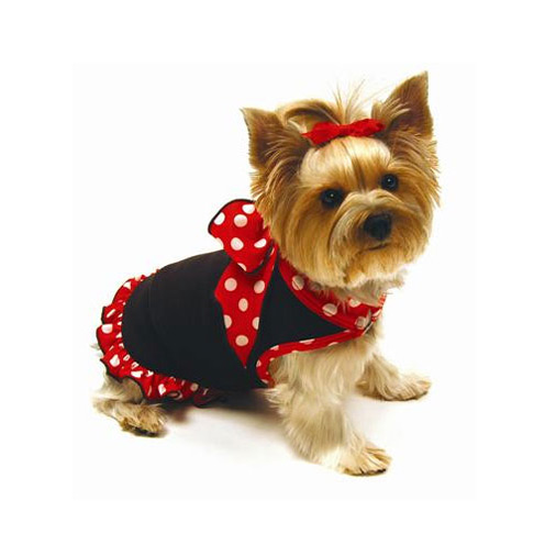 Dog Dress