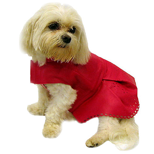 Doggy Dress
