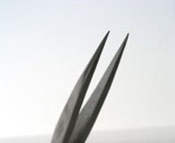 Eyebrow Plucking. Brow Shape Types