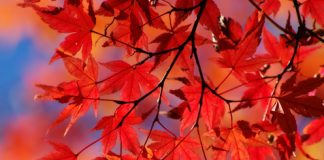 7 Beauty Trends of the Fall 2014