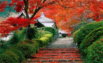 Beautiful Pictures of Autumn