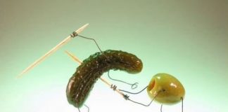 Cute Pictures of Funny Creatures Part 1