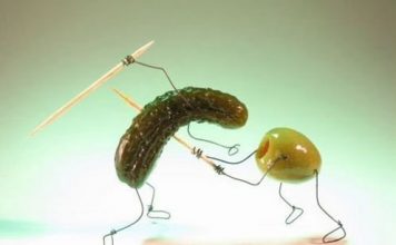 Cute Pictures of Funny Creatures Part 1