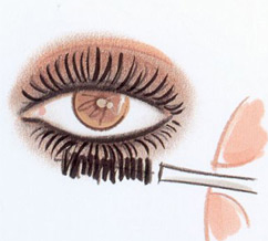 tep 7. Apply Volumizing Mascara