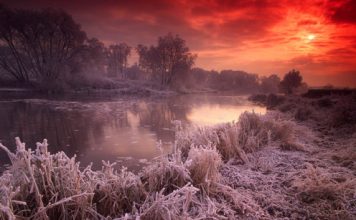 Beautiful Pictures of Winter