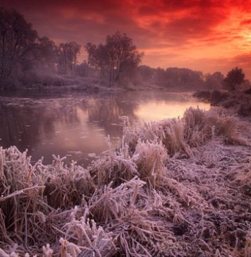 Beautiful Pictures of Winter