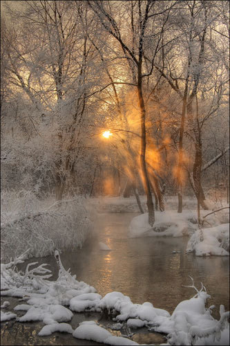 Snow-Covered Forest, River