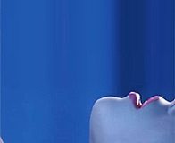 In Search of the G-Spot, the Source of Female Orgasm