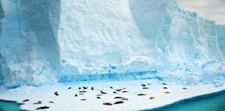 Pictures of Antarctica, the Coldest Beautiful Place