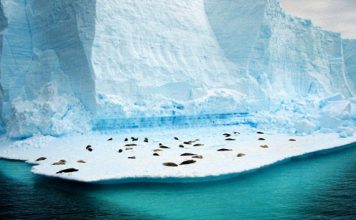 Pictures of Antarctica, the Coldest Beautiful Place