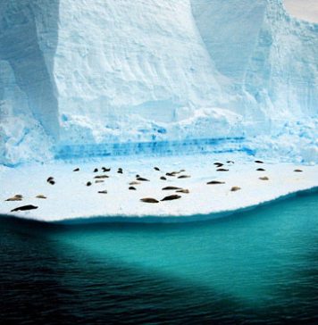 Pictures of Antarctica, the Coldest Beautiful Place