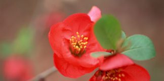 Happy International Women’s Day 8 March