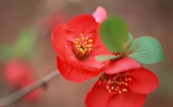 Happy International Women’s Day 8 March