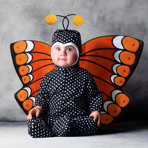 Baby Butterfly