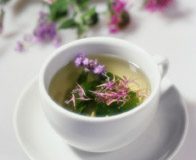 Green Tea Protects from Superviruses