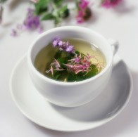 A Cup of Green Tea