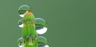 The Best Photos of 2007 Part 1