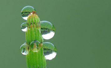 The Best Photos of 2007 Part 1