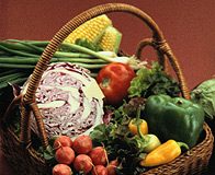 Body and Skin Rejuvenation Diet