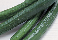 Cucumbers