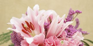 Pictures of Beautiful Flower Bouquets