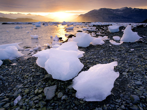 Glacial Icebergs Icy Bay