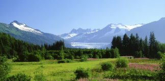 Beautiful Pictures of Alaskan Nature