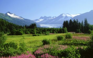 Beautiful Pictures of Alaskan Nature