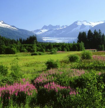 Beautiful Pictures of Alaskan Nature