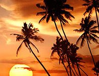 Discover Kailua-Kona: Hawaii’s Hidden Romantic Gem