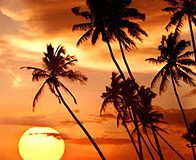 Long-Awaited Vacation: Is It Worth It?