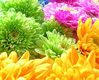 Riddle about Flowers