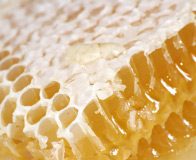 Honey Instead of Antibiotics