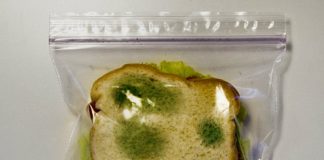 Anti-Theft Lunch Bag