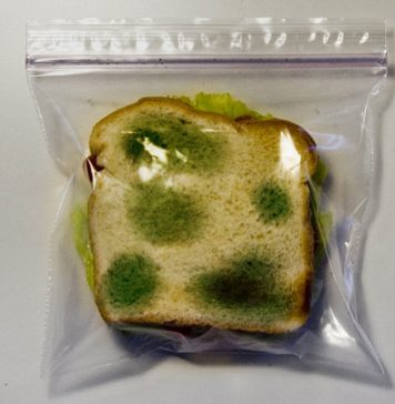 Anti-Theft Lunch Bag