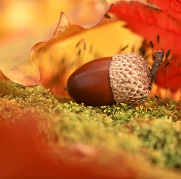 Awesome Autumn Pictures