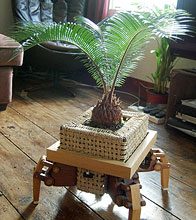 Sun Seeking Flowerpot Plantbot